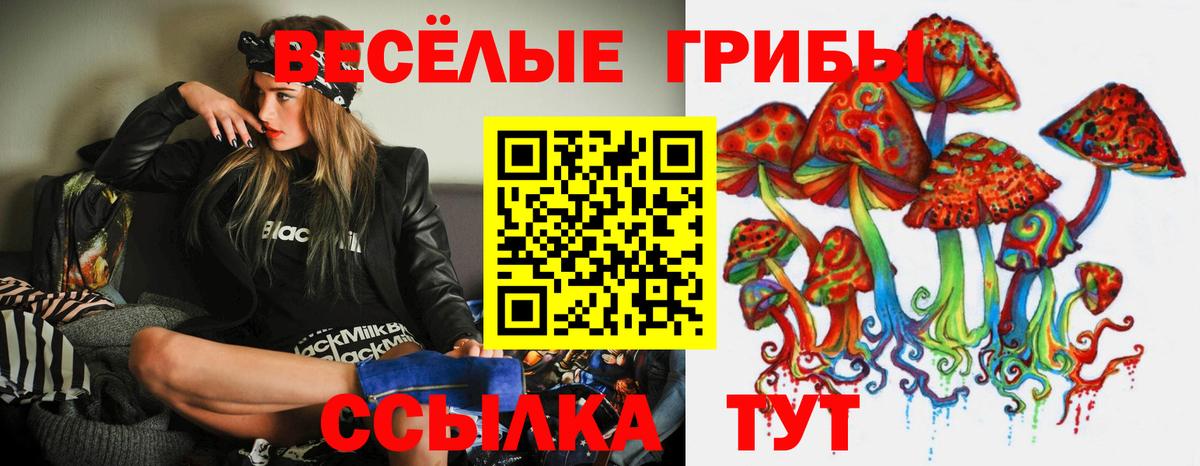 Псилоцибиновые грибы мицелий Новочеркасск