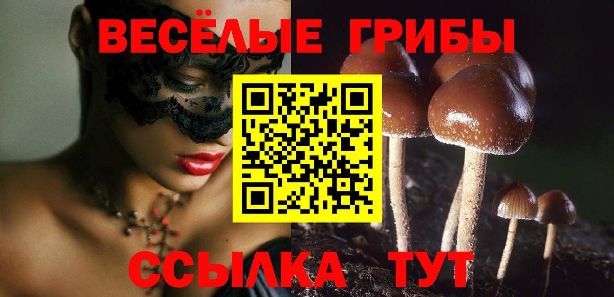 что такое   Галлюциногенные грибы Cubensis  Вход с VPN  Галлюциногенные грибы MAGIC MUSHROOMS  Новочеркасск 